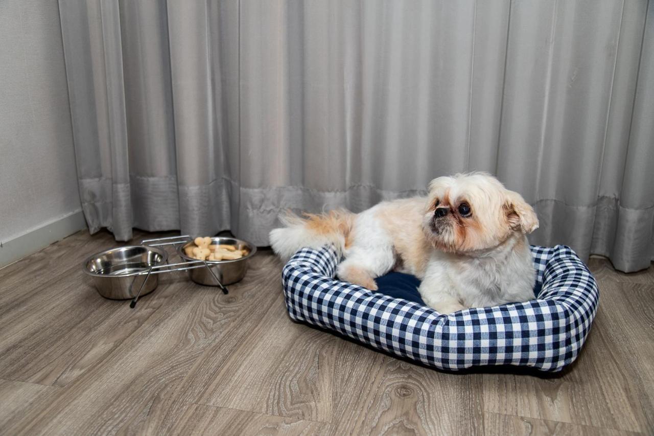 Hotel Radisson Rio De Janeiro Barra Exterior foto A dog in a dog bed